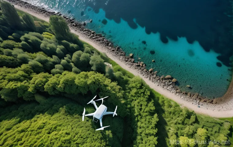 기타 장비 대여 방법 - **Prompt 1: Aerial Photography Adventure**
    "A vibrant, wide-angle shot of a young adult (wearing...