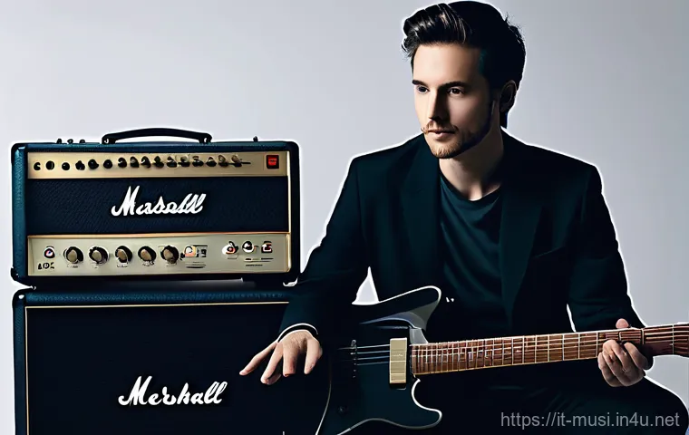 기타 앰프 비교 - **Prompt for "The Inimitable Character of Valves vs. The Solidity and Versatility of Transistors"**:...